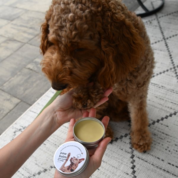 Dog Paw Balm