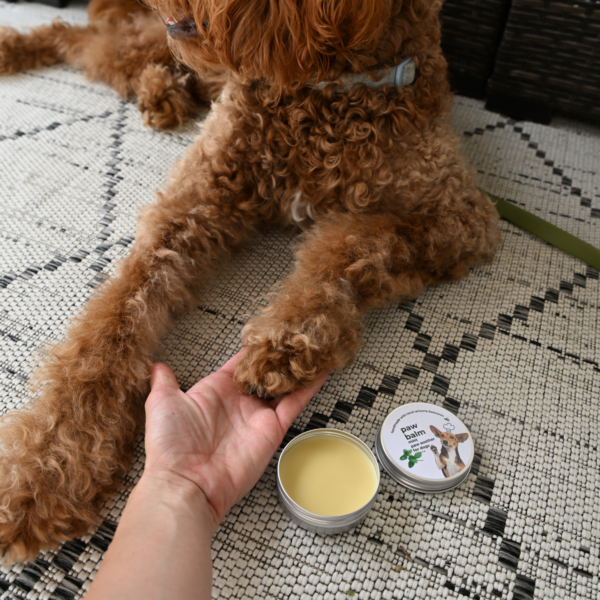 Mint Paw Balm