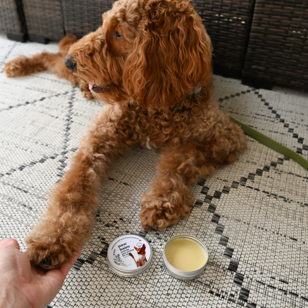 Lavender Dog Paw Balm