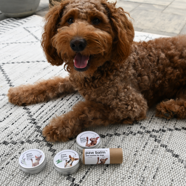 Dog Paw Balm Tube