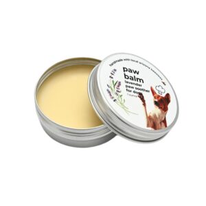 Lavender Dog Paw Balm